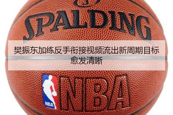 樊振东加练反手衔接视频流出新周期目标愈发清晰 - Kaiyuan Games